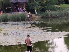 -北坞公园