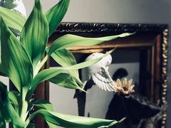 -HIGH FIVE哈福手工汉堡(桂林路店)