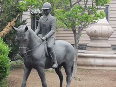 -上林马术中央公园·户外露营·团建·骑乘