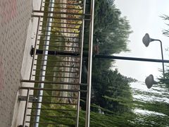 -黄村公园