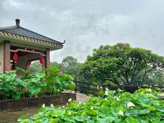 -广州莲花山旅游区