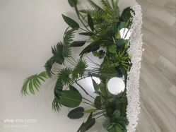 -HEYAN荷妍专业脱毛连锁机构