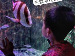 -沈阳海洋探索中心