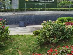 -招商蛇口邮轮母港(观光客运)