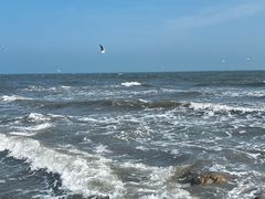 -老虎石海上公园