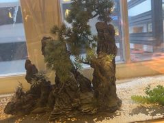 -望庐说·本地菜馆