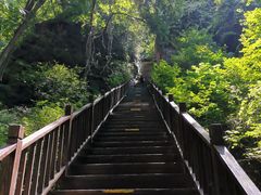 -天女山森林公园