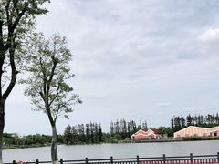 -上海长兴岛郊野公园