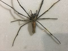 -上海昆虫博物馆