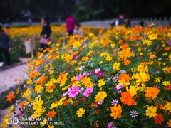 景点-晓港公园