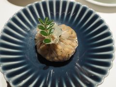 -觀芷隐轩
