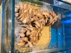 -火舞泰·泰式海鲜火锅餐厅(世纪城店)