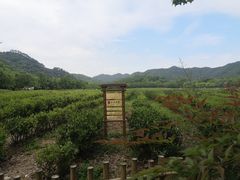 -中国茶叶博物馆(双峰馆区)