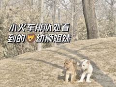 -北京野生动物园