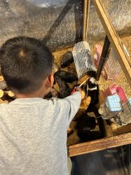 -酷嗒动物文化乐园(cutezoo西溪乐天城店)