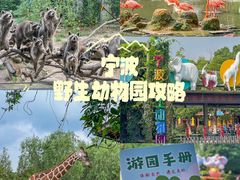 -宁波野生动物园
