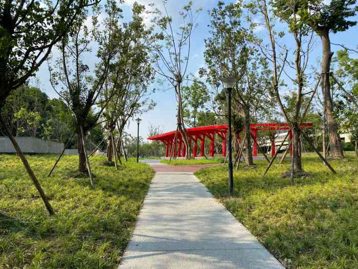 神仙树公园-"交通还算方便,在紫荆西路那边.我大概五点.