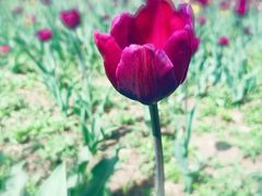 -长春公园(普阳街道)