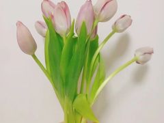 -海马体照相馆(北京apm店)