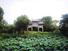 -西溪国家湿地公园