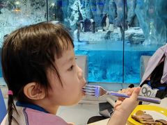 -帝企鹅自助餐厅•儿童岛•真企鹅(长隆企鹅酒店)