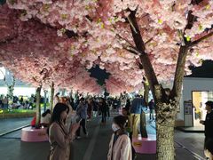 -东莞松山湖万象汇