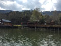 -天台国家森林公园水上茶乡九鹏溪