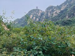 -北京凤凰岭