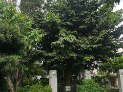 -广州神农草堂中医药博物馆