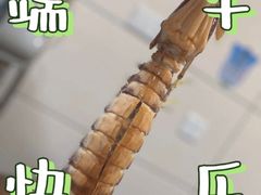 -凯华海鲜火锅·传承三十六年