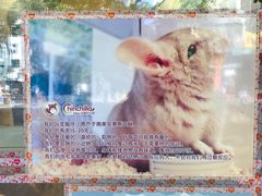 -龙猫仔乐园(惠福东路店)