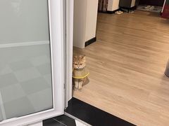 -八公叔叔宠物美容连锁(春申店)