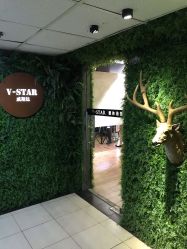 -V-STAR威斯达•高级私人定制