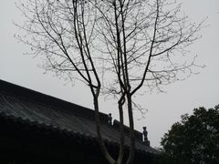 -草桥清真寺