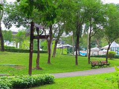 -阳台山森林公园