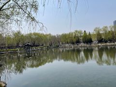 -静园(和平区)