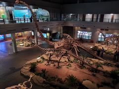 -自贡恐龙博物馆