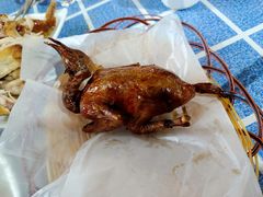 -石岐乳鸽村(桥观坊南四巷店)