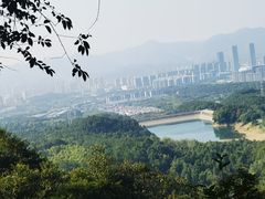 -大奇山国家森林公园