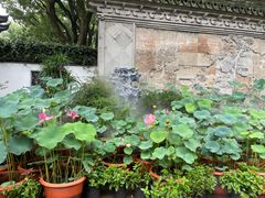 -上海醉白池公园