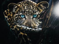 -罗红摄影艺术馆