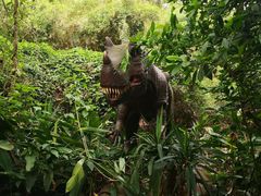 -海南热带野生动植物园