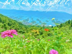 -鱼乐岛餐厅·户外花园主题餐厅