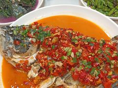 -全乐鱼馆·淳牌有机鱼直营店
