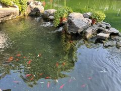 -趵突泉景区