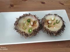 -海胆小馆(东北水饺·春柳店)