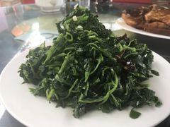 -南窖乡水峪村山情农家