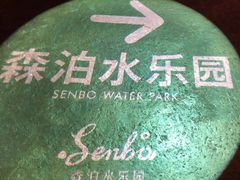 -杭州开元森泊度假乐园