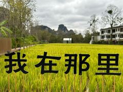 -明仕田园
