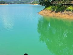-广州市流溪河国家森林公园